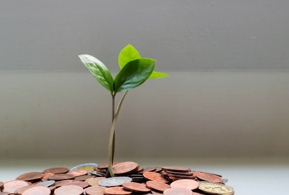 5 Point Rich Become Richer And The Poor Poorer